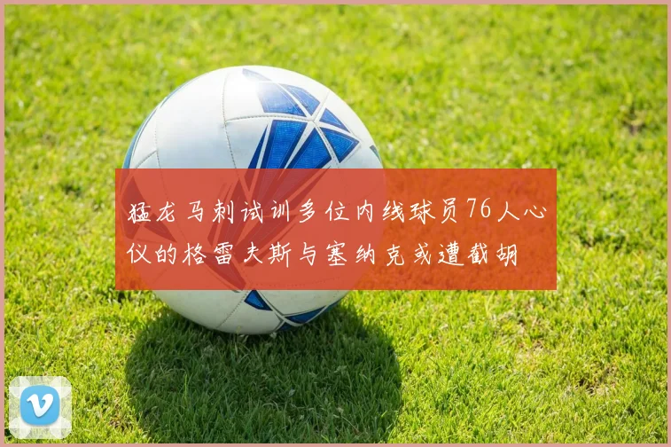 猛龙马刺试训多位内线球员76人心仪的格雷夫斯与塞纳克或遭截胡