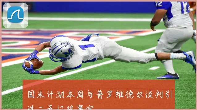 国米计划本周与普罗维德尔谈判引进二号门将事宜